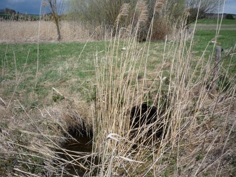 Br�cke �ber einen Bach