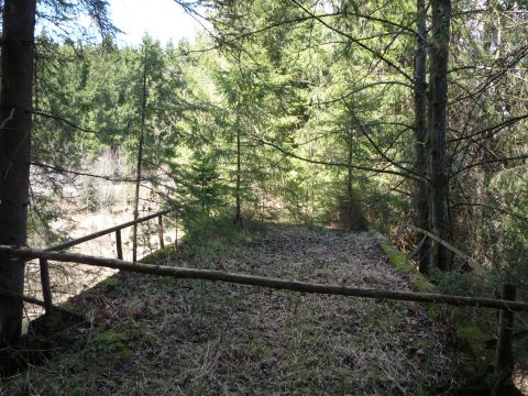 Br�cke im Sachsenrieder Forst