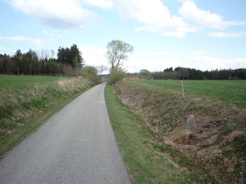 Zwischen Linden und Aufkirch