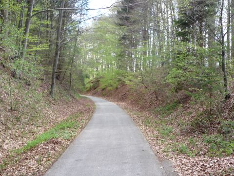 Zwischen Osterzell und Sachsenrieder Forst