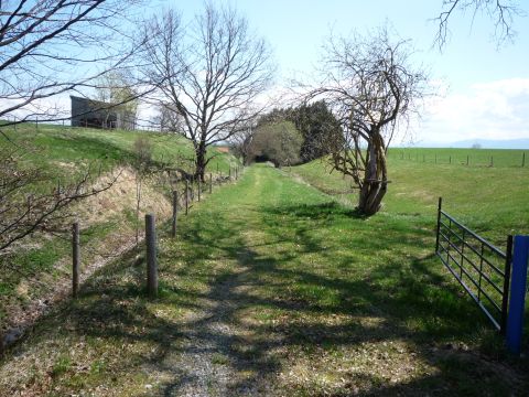 Zwischen Sachsenried und Schwabbruck