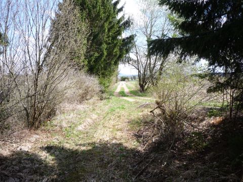 Zwischen Sachsenried und Schwabbruck