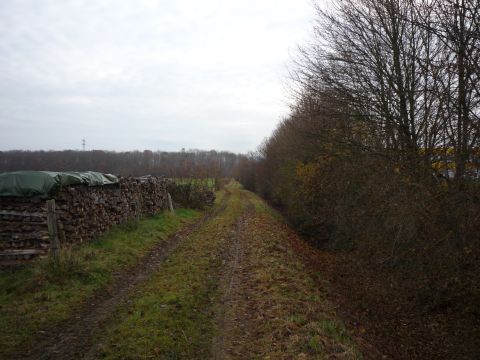 Zwischen Schutterwald und Offenburg