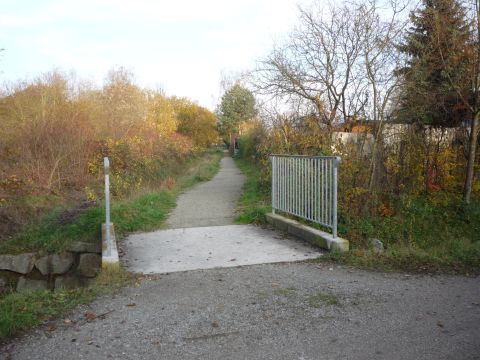 Zwischen Schutterwald und Offenburg