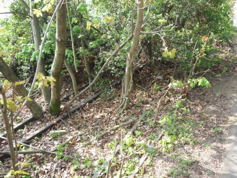 Br�cke �ber den Papierwerkkanal